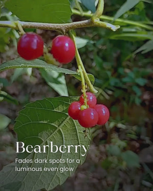 Restore & Rehydrate Combo